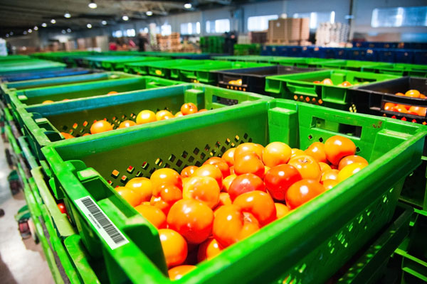 Staff picking goods in warehouse