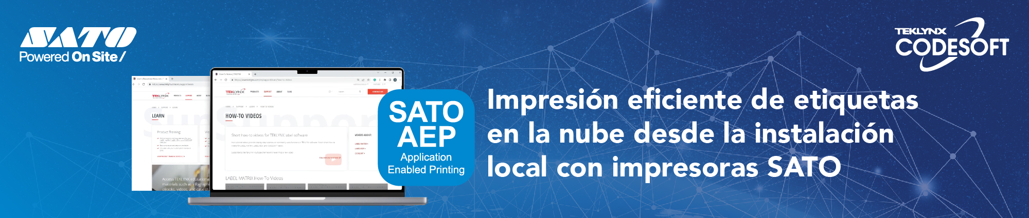 Impresión eficiente de etiquetas en la nube desde la instalación local con impresoras SATO