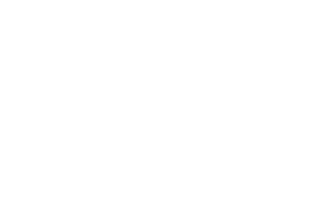 Certification icon