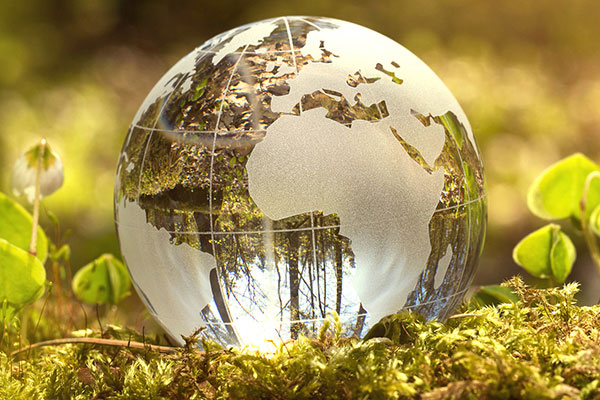 Globe in soil and leaves