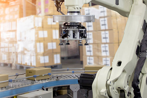 Staff and equipment in warehouse