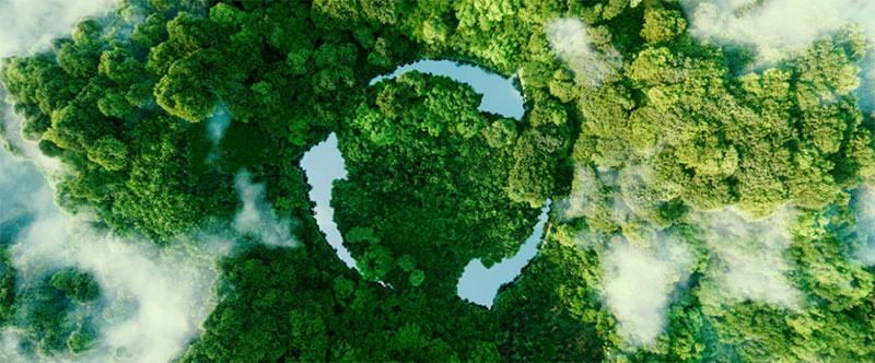 Simbolo del riciclaggio nella foresta pluviale