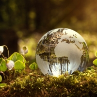 SATO Promette la Neutralità Carbonica entro il 2050