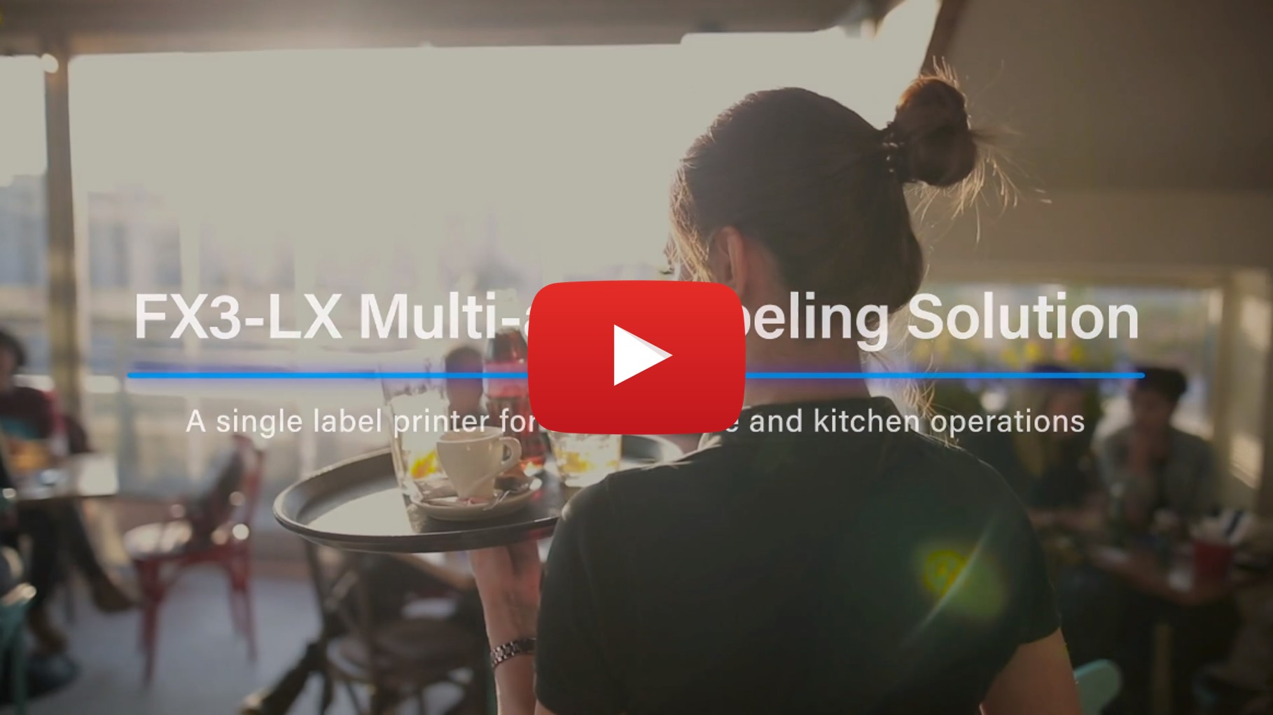 FX3-LX Multi-app Labelling Solution_video